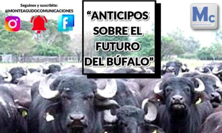 Anticipos sobre el futuro del Búfalo