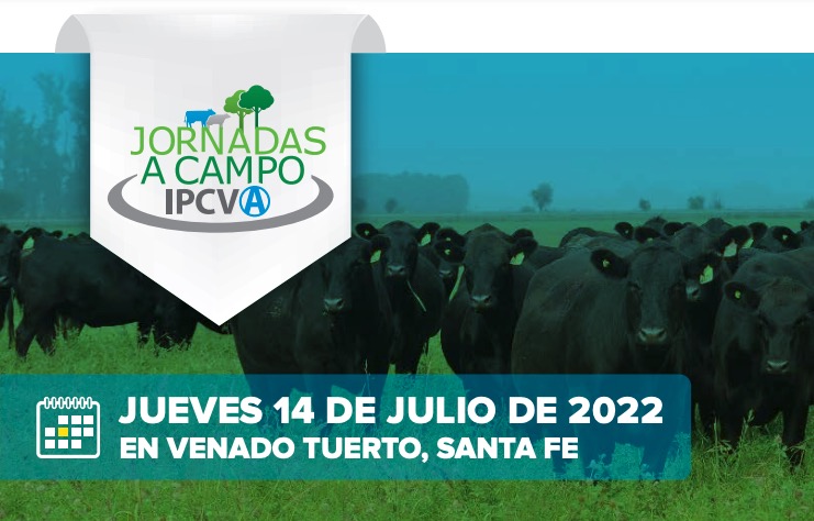 Nueva jornada a campo del IPCVA en Venado Tuerto: “Sistemas ganaderos de alta producción”