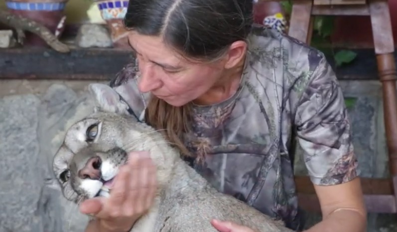 Pumas en Argentina: la cordobesa que creó un santuario para protegerlos