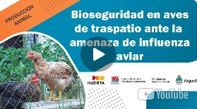 Bioseguridad en aves de traspatio ante la amenaza de influenza aviar