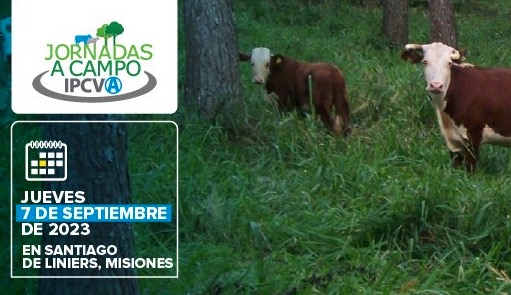 7 de septiembre, Jornada a Campo del IPCVA en Misiones: madera, carne y huella de carbono
