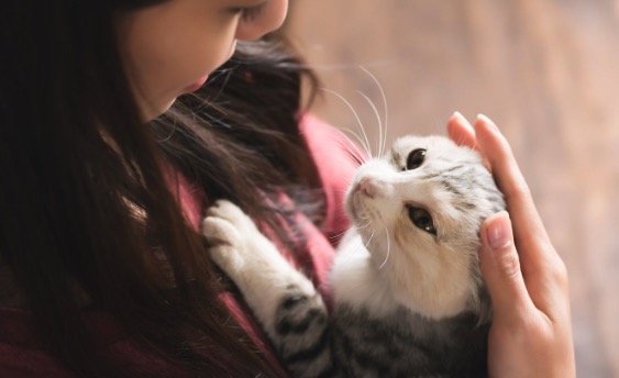  La terapia con animales que es un gran apoyo emocional en tiempos difíciles y la técnica sencilla para cumplir nuestras metas