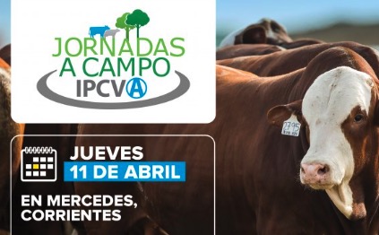 Jornada a campo del IPCVA en Corrientes: Carne del NEA al mundo