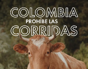 Colombia prohíbe las corridas de Toros