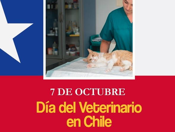 Día del Veterinario en Chile - 7 de Octubre