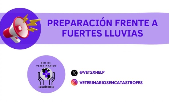 Preparación frente a las fuertes lluvias